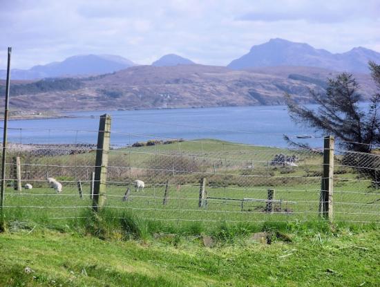 View from the cottage