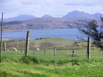View from the cottage