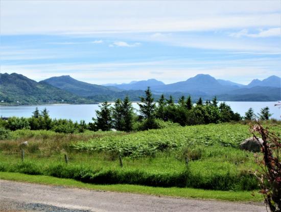 View from the garden