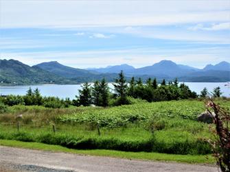 View from the garden