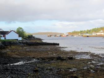 The cottage and harbour