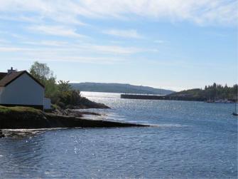 The cottage and harbour