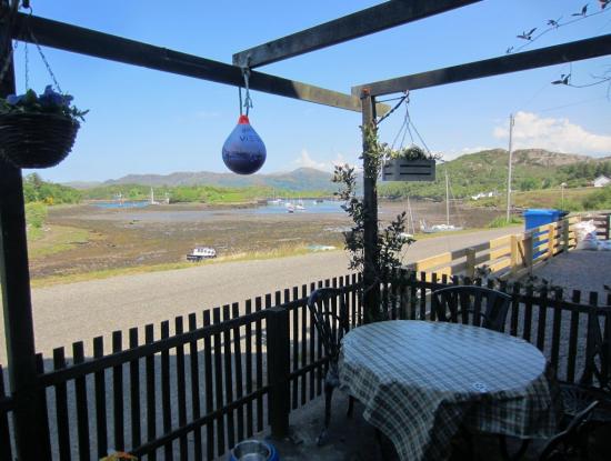 View over the front garden