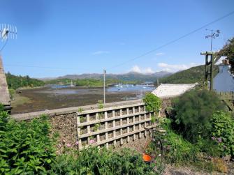 View from the garden