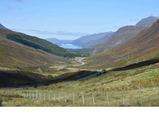 Glen Docherty