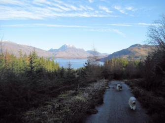 Loch Maree and Slioch