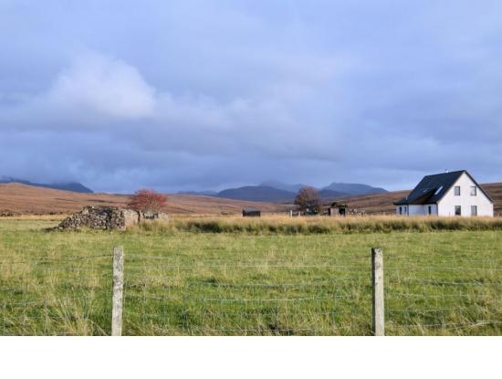 View from the cottage