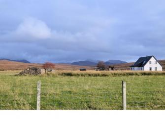 View from the cottage